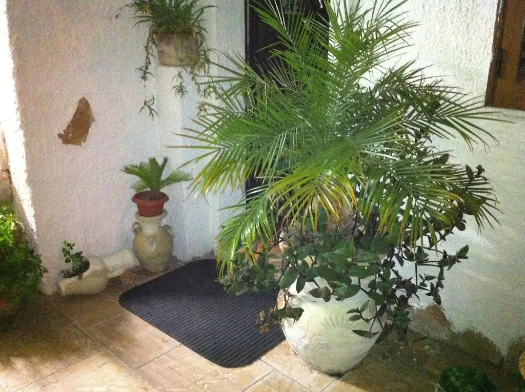 Bed & Breakfast La Pergola B&B Custonaci