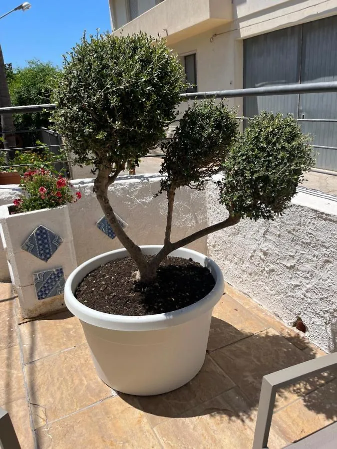 La Pergola B&B Custonaci Bed & Breakfast