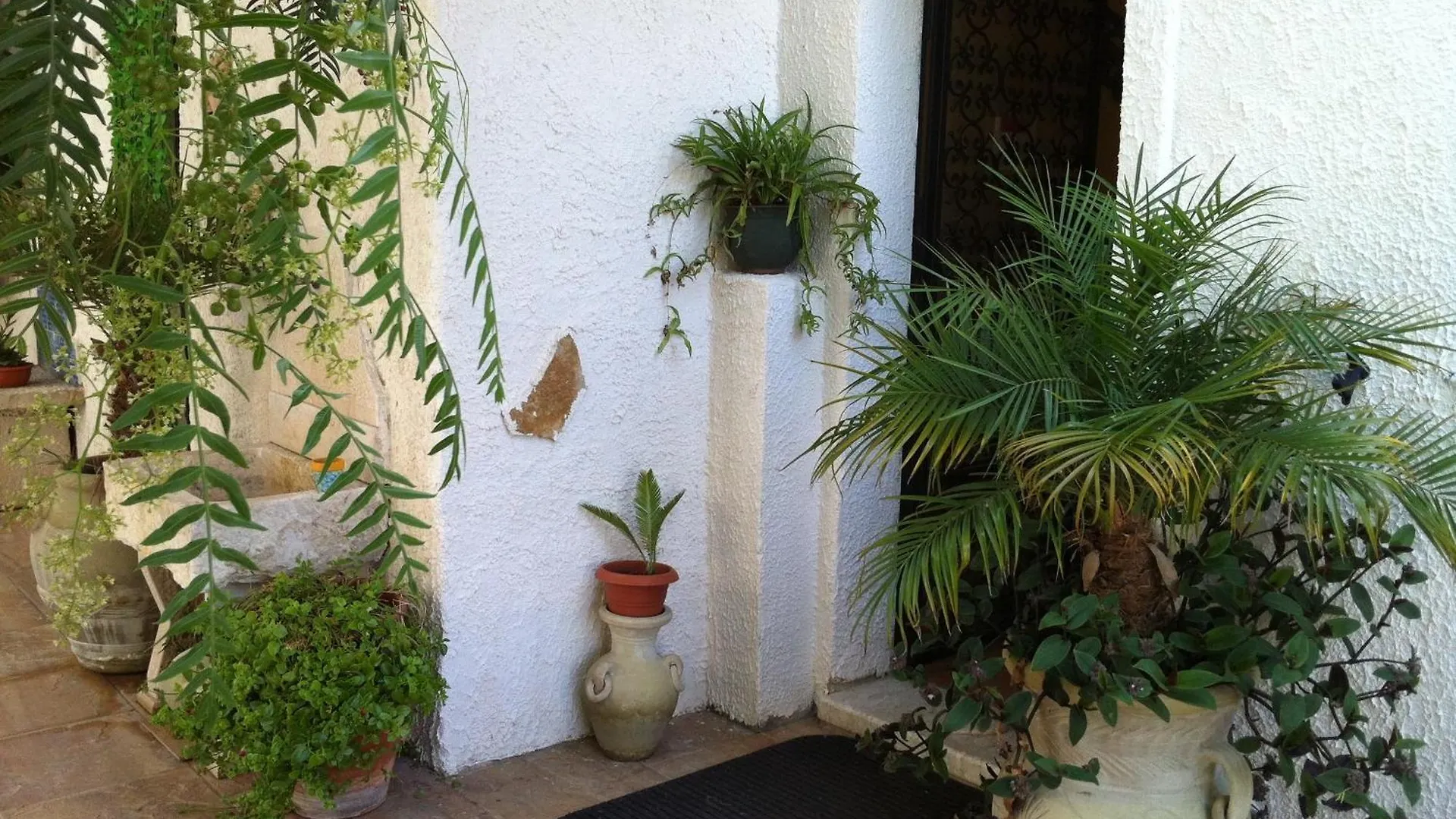 La Pergola B&B Custonaci 3*,  Italy